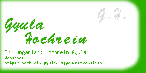 gyula hochrein business card